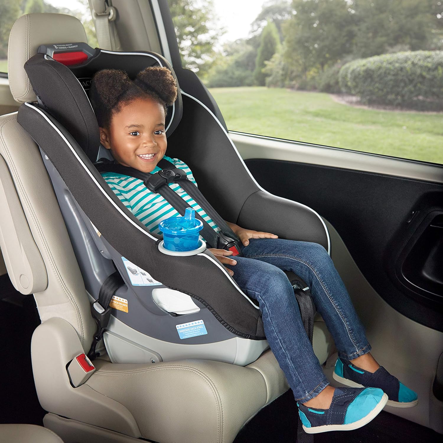 Graco Contender 65 Convertible Car Seat, Glacier